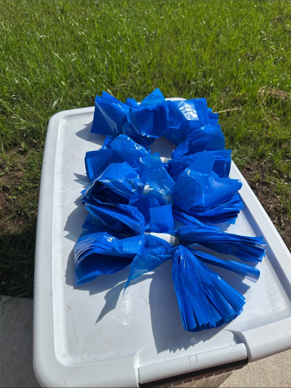 NEW Blue Poms! Set of 2!